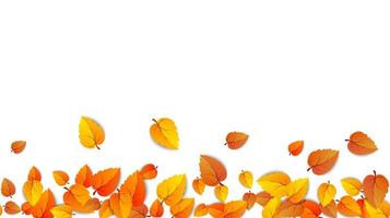 Autumn leaves horizontal banner isolated on white background. Advertising template with golden autumn leaf. Fall season colors pattern. Autumnal nature foliage wallpaper frame. Vector
