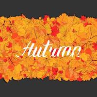 Autumn leaves fall isolated background. Golden autumn poster template. Vector illustration eps10