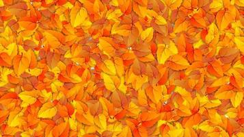Seamless autumn leaves horizontal fill banner. Advertising template with golden autumn fall orange leaf pattern. Design template for sale backdrop. Vector illustration eps10