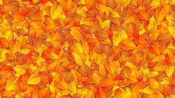 Seamless autumn leaves horizontal fill banner. Advertising template with golden autumn fall orange leaf pattern. Design template for sale backdrop. Vector illustration eps10