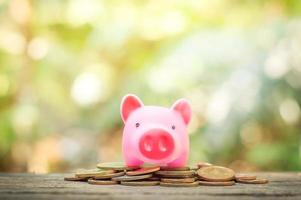Pink piggy bank on stack of coins photo