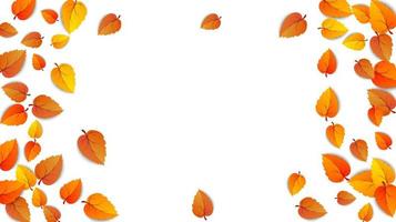 banner de publicidad de marco de otoño con hojas aisladas sobre fondo blanco para la venta de otoño. presentaciones diseño de carteles hoja decorada para venta de compras o diseño de carteles promocionales. ilustración vectorial vector