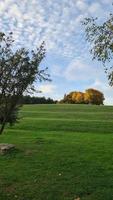 Gorgeous View of British Countryside and Landscape photo