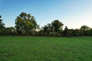 Gorgeous View of British Countryside and Landscape photo