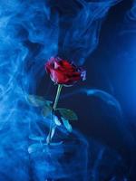 humo azul y una rosa roja sobre un fondo azul. foto