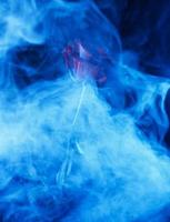 una rosa roja brilla a través del humo azul. foto