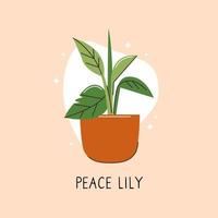 Vector object of flat color indoor plant. Home office decoration. A flower in a container. Potted plant 2D isolated cartoon illustration on white background