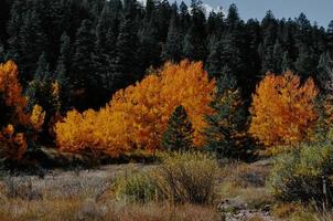 montañas en otoño foto