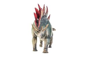 dinosaur , Stegosaurus isolated background