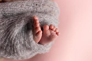 Newborn baby feet on a pink background wrapped in a knitted blanket photo