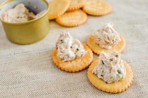 Cracker with tuna spread photo