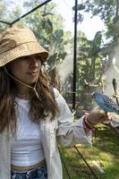 hermosa joven alimentando a un pájaro con un palo de madera con semillas pegadas, el pájaro se detiene para comer, canario, ninfa, méxico foto