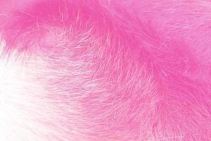 Pink and purple velvet clean soft fluffy animal fur background. The texture of animal hair. photo