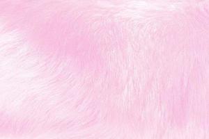 Pink and purple velvet clean soft fluffy animal fur background. The texture of animal hair. photo