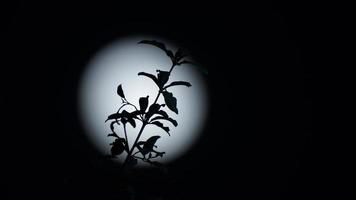 la vista nocturna de la luna con la luna brillante en el cielo oscuro por la noche foto