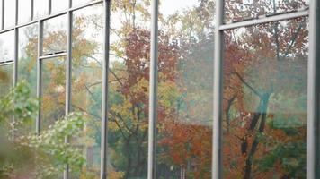 The office view with the colorful autumn leaves reflection on the glass windows photo