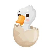 Duckling in egg vector