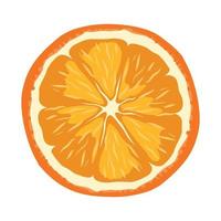 ilustrador vectorial de naranja vector