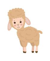 Vector illustrator of Llama