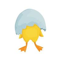 Chick in egg vector