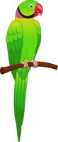 Cute macaw parrot cartoon on tree branch vector