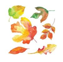 colección de hojas de otoño de acuarela vector