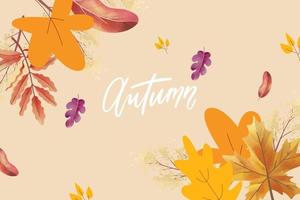 drawn autumn background with leaves vector