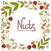 Hand drawn healthy snack design template. Organic food vector illustration. Frame with different nuts and seeds on white background