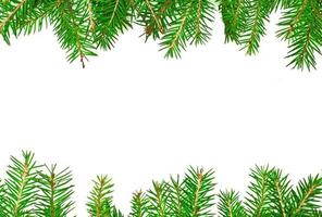 Background from living fir branches for Christmas banners and advertisements. photo