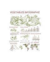 Vegetable infographics design with charts vector