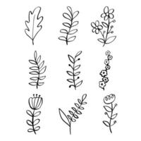 línea negra doodle flores y hojas sobre fondo blanco. ilustración vectorial sobre la naturaleza. vector
