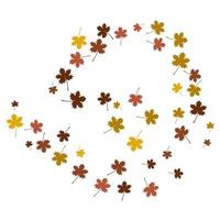 autumn  back ground vector