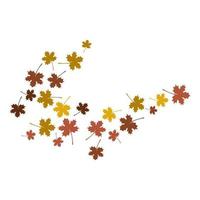 autumn Leaf background vector