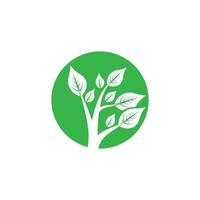 Eco Tree Leaf vector
