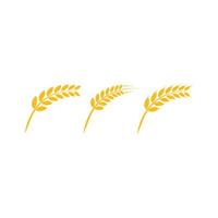 wheat logo vector