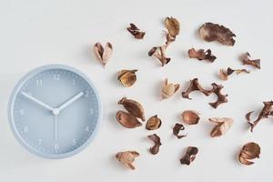 Alarm clock with a dried petals on white background, top view. Minimal flat lay style photo