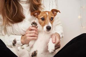 Woman hold dog on her hands. Pet care concept photo