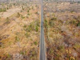 Arid yellow forest, The road in the forest was filled with trees blackened by forest fires. photo