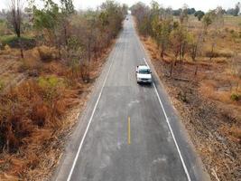 Arid yellow forest, The road in the forest was filled with trees blackened by forest fires. photo