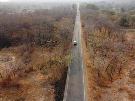 Arid yellow forest, The road in the forest was filled with trees blackened by forest fires. photo