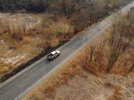 Arid yellow forest, The road in the forest was filled with trees blackened by forest fires. photo