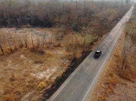 Arid yellow forest, The road in the forest was filled with trees blackened by forest fires. photo