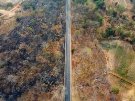 Arid yellow forest, The road in the forest was filled with trees blackened by forest fires. photo