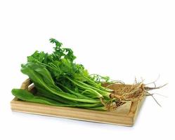 Fresh green vegetables on a white background. photo