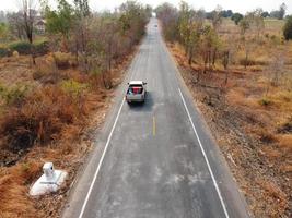 Arid yellow forest, The road in the forest was filled with trees blackened by forest fires. photo