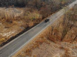 Arid yellow forest, The road in the forest was filled with trees blackened by forest fires. photo