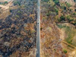 Arid yellow forest, The road in the forest was filled with trees blackened by forest fires. photo