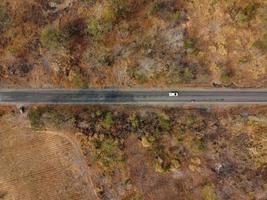 Arid yellow forest, The road in the forest was filled with trees blackened by forest fires. photo