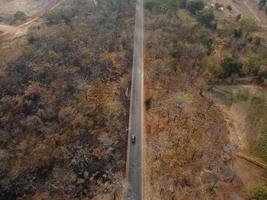 Arid yellow forest, The road in the forest was filled with trees blackened by forest fires. photo