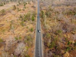 Arid yellow forest, The road in the forest was filled with trees blackened by forest fires. photo